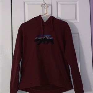 Patagonia Hoodie